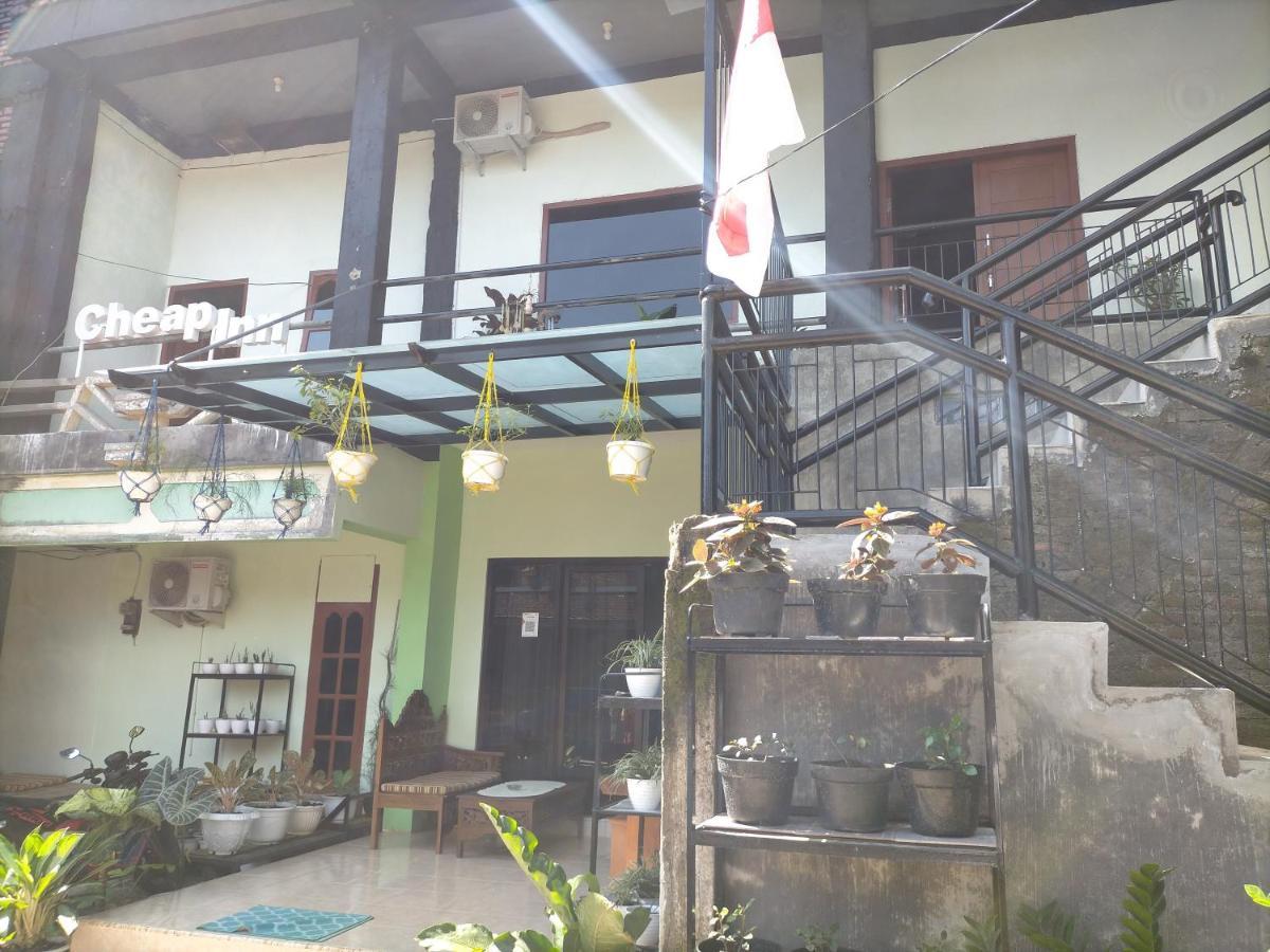 בניוואנגי Cheap Inn Banyuwangi מראה חיצוני תמונה