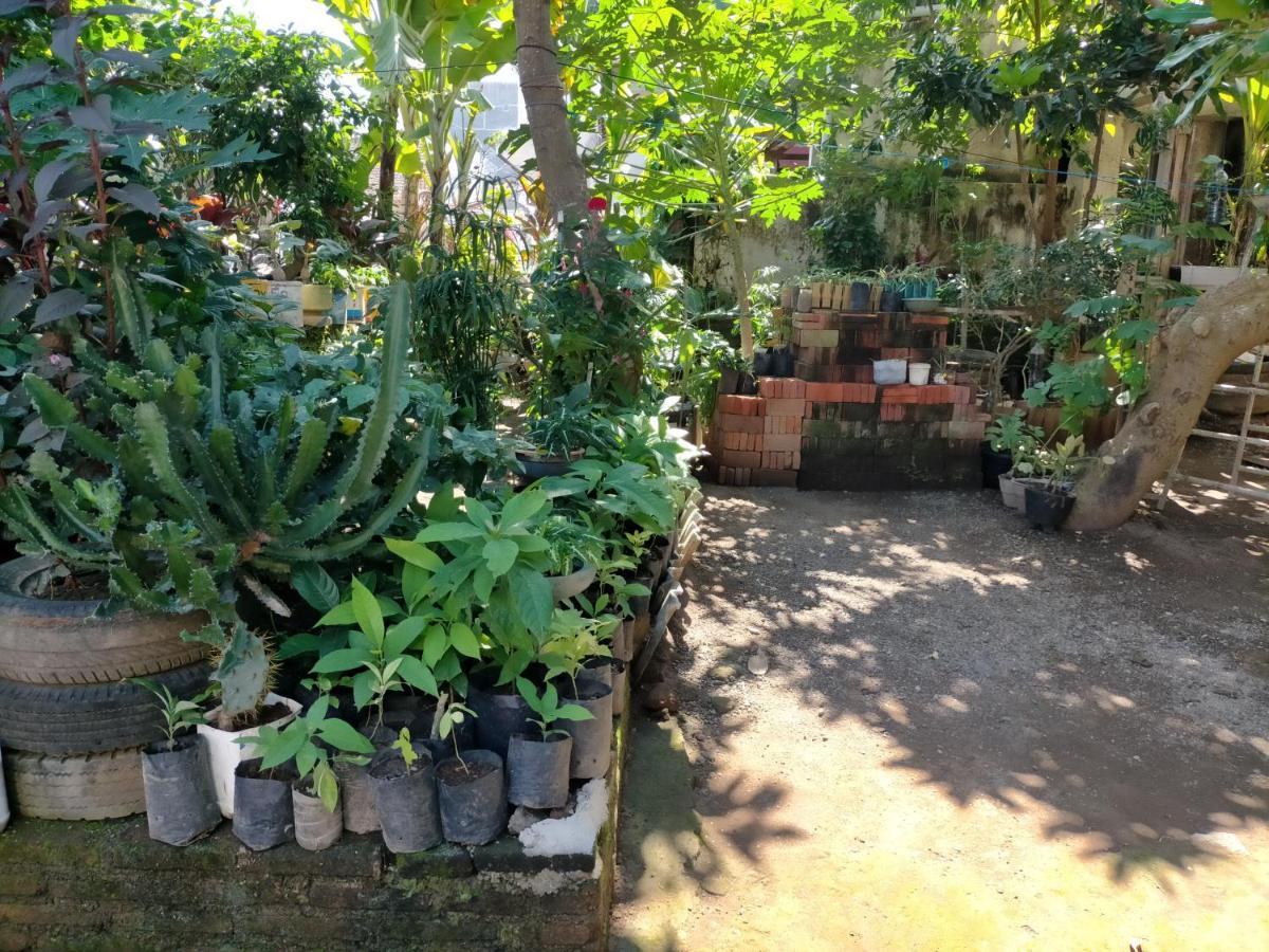 בניוואנגי Cheap Inn Banyuwangi מראה חיצוני תמונה